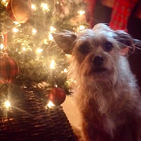 Meet your Posher, Dashawnna - Picture 4 of 7